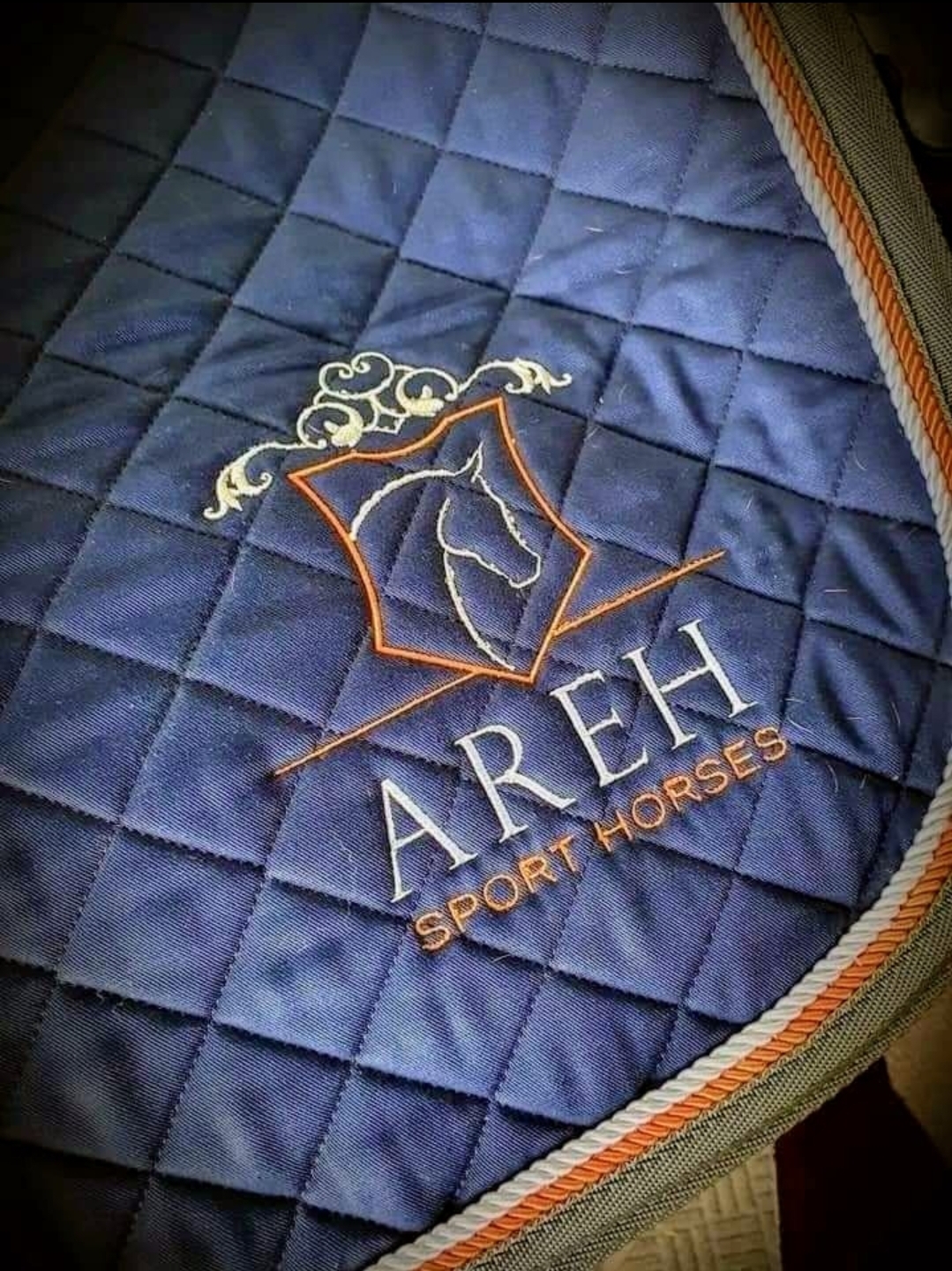 Sales Livery at Areh Sport Horses