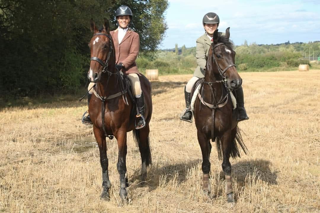 Horse and rider training