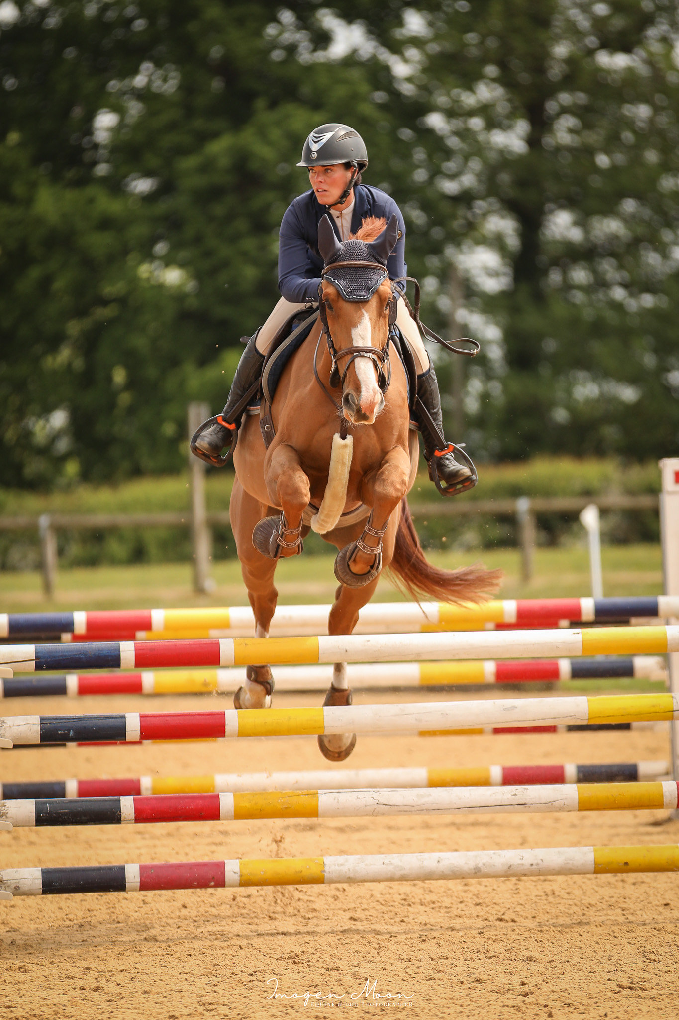 Competition schooling